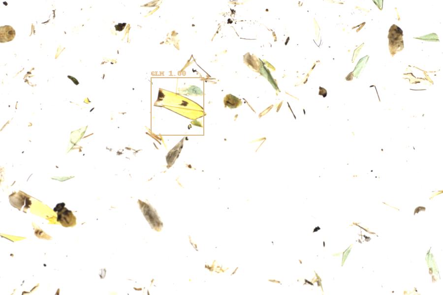Image 30